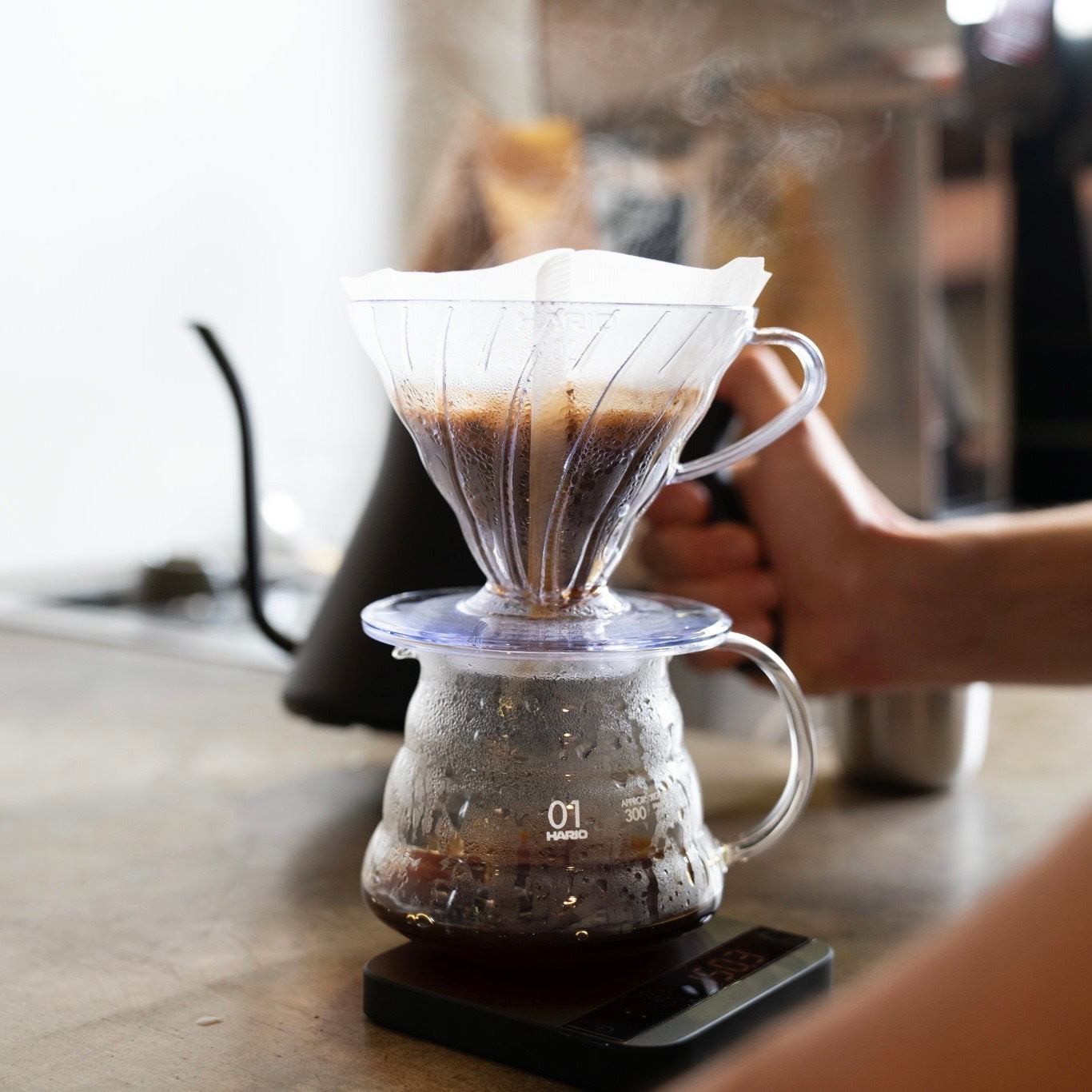 V60 FILTER BREWING ドリップコーヒー
